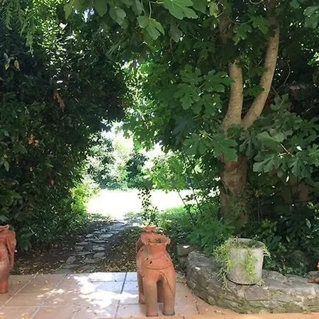 Feriehus Le Zen-grand Jardin-climatisation-spa-bbq-parking Gratuit Pezens